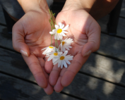 Social Enterprise Structures thumb