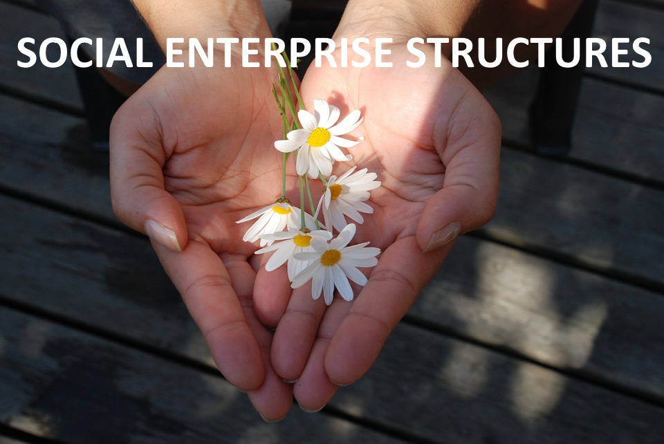 Social Enterprise Structures Social Enterprise Structures